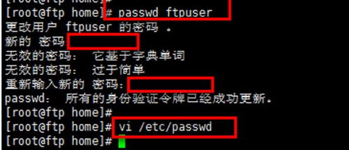 面向异步树的数据管理与服务搭建指南 FTP与HTTP深度实践